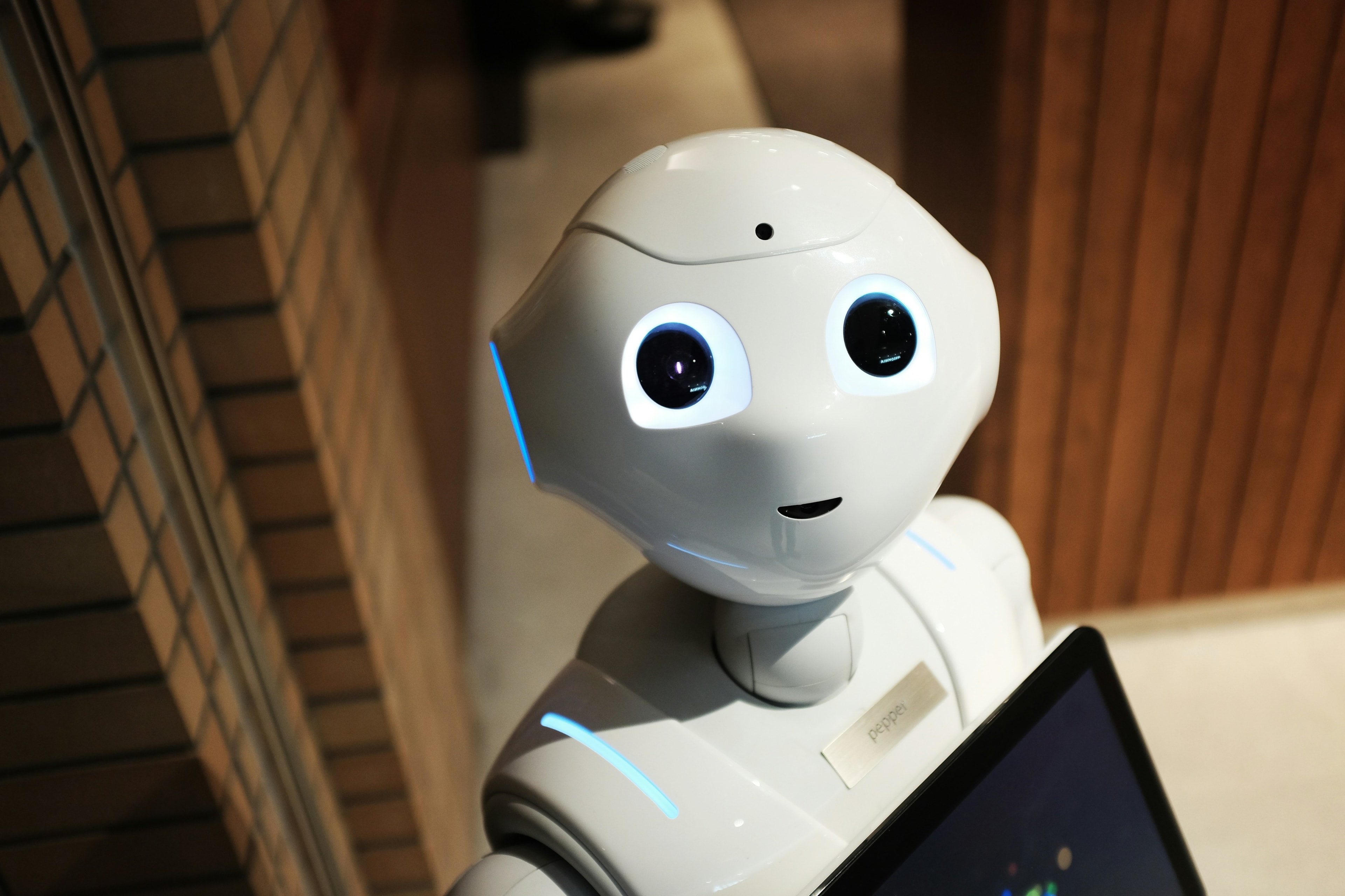 White humanoid robot with a tablet on its chest